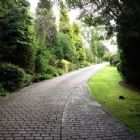 Simon Challiner Gardens