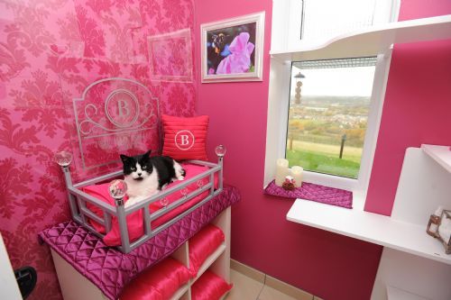 The Ings Luxury Cat Hotel, Dewsbury  Cattery - FreeIndex