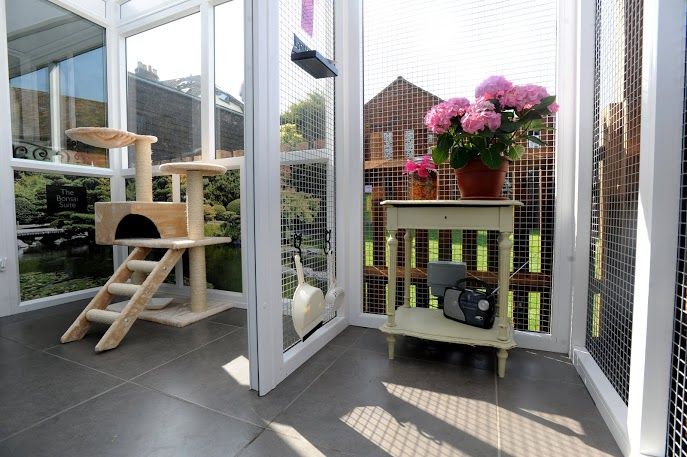 Longcroft Luxury Cat Hotel - Cattery in Winchmore Hill 