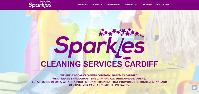 local cleaning services
