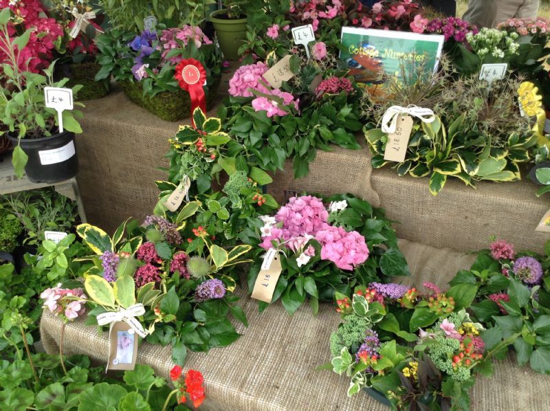 Cottage Nurseries, Doncaster 1 review Garden Centre FreeIndex