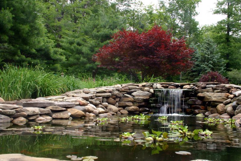 Aqua Landscapes, Winchester 1 review Landscape Gardener FreeIndex Aqua Landscapes, Winchester 1 review Landscape Gardener FreeIndex