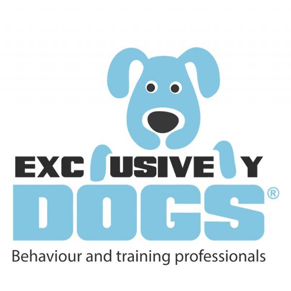 Exclusively Dogs, Bracknell Dog Trainer FreeIndex