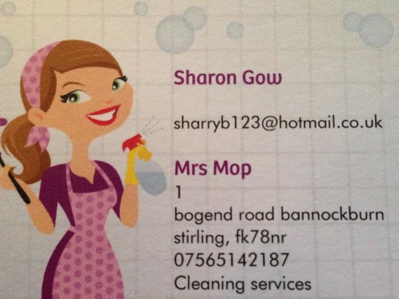 Mrs Mop Cleaning and Ironing Services Limited Home Cleaner in