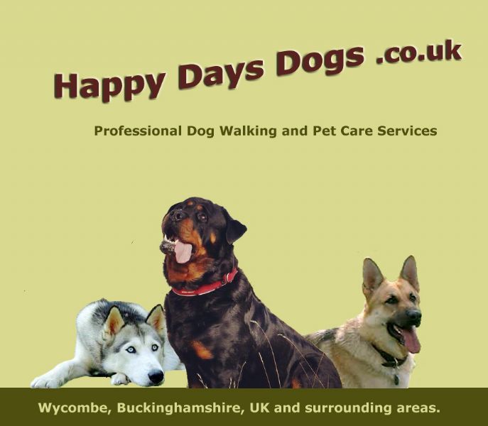 Happy Days Dogs, High Dog Walker FreeIndex
