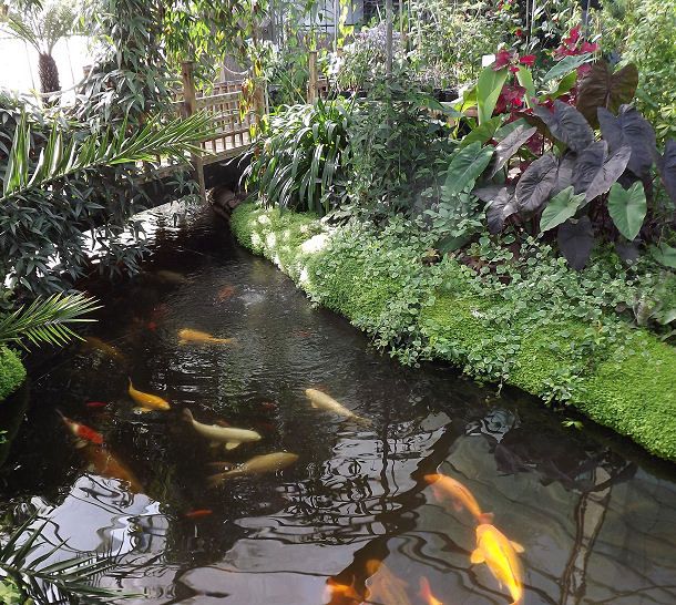 Urban Jungle, Norwich Home and Garden Company FreeIndex