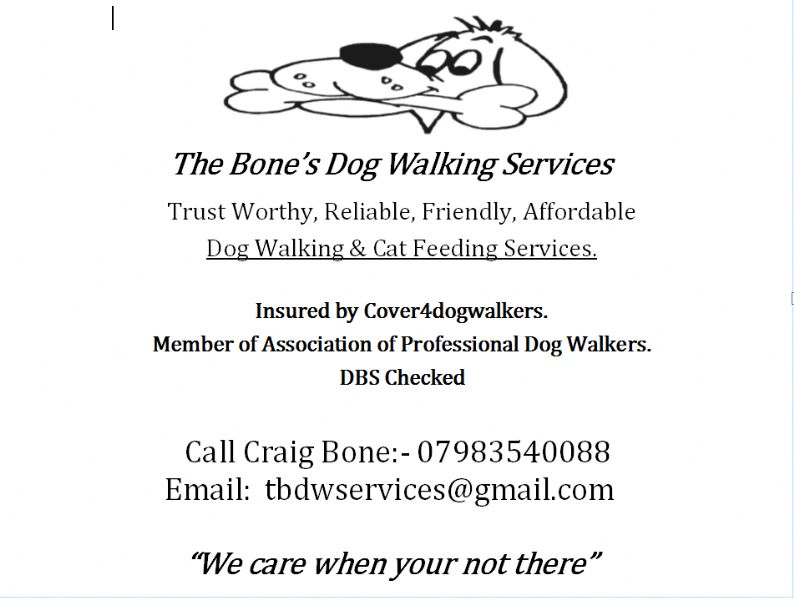 The Bone's Dog Walking Services, Scarborough 2 reviews Dog Walker