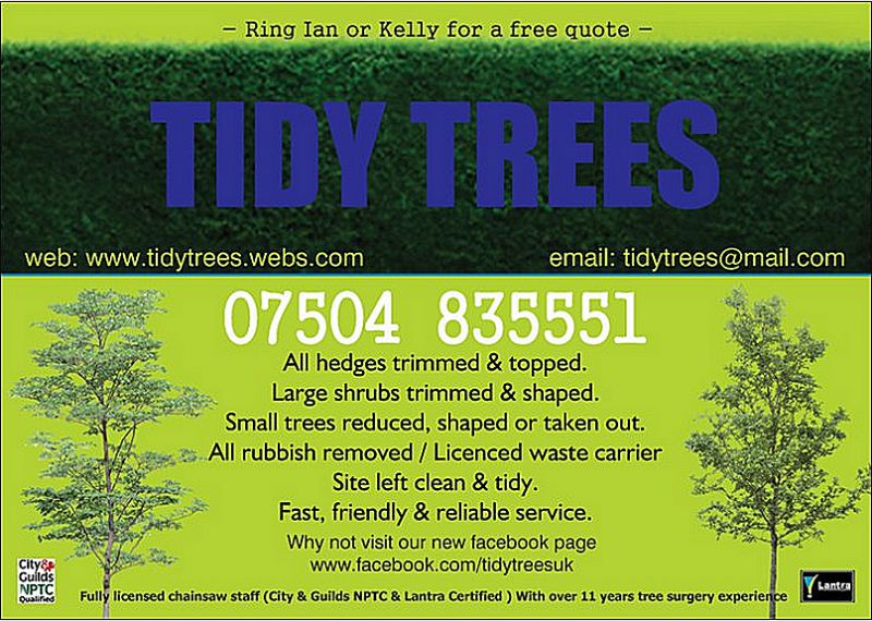 to how get licence p Tree 10 Trees, FreeIndex  reviews  Nottingham Surgeon   Tidy to how get licence p Tree 10 Trees, FreeIndex  reviews  Nottingham Surgeon   Tidy