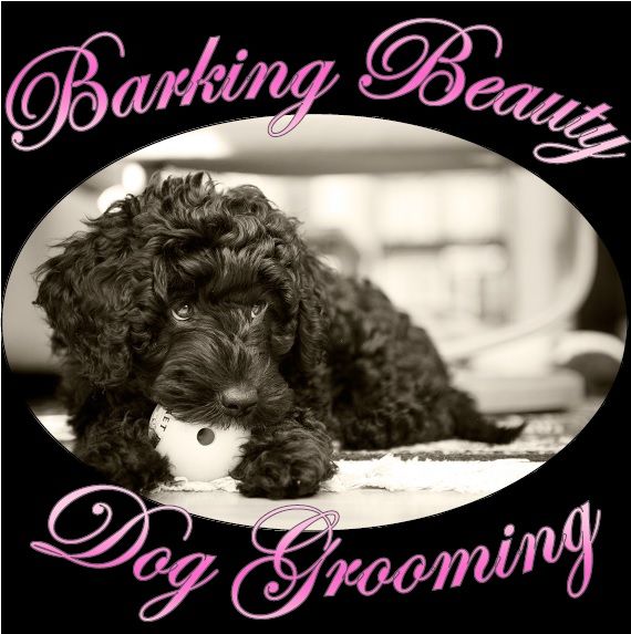 Barking Beauty Dog Grooming Ernesettle Dog Grooming Company in