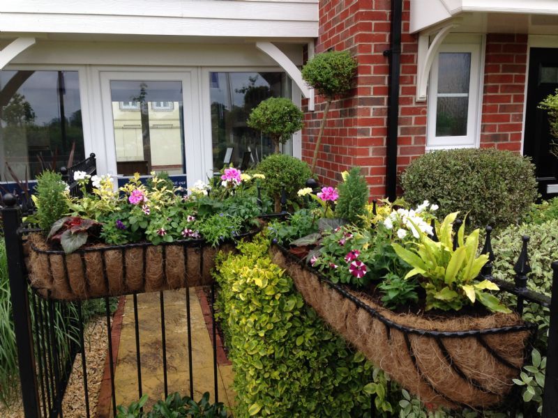 Crown Gardens and Landscapes Ltd Gardener in Marchwood, Southampton (UK)