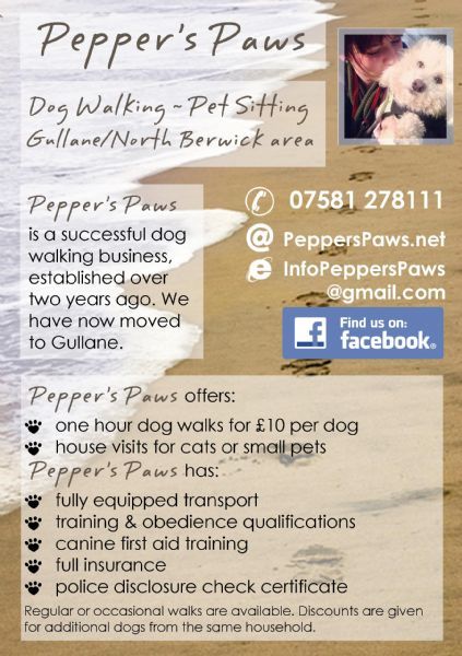 dog walking leaflets