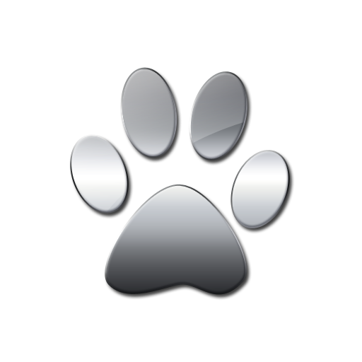 Rachels Pet Pawfection, Newport | Dog Grooming Company - FreeIndex