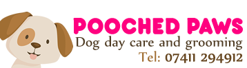 Dog Day Care West Sussex Dog Day Care West Sussex