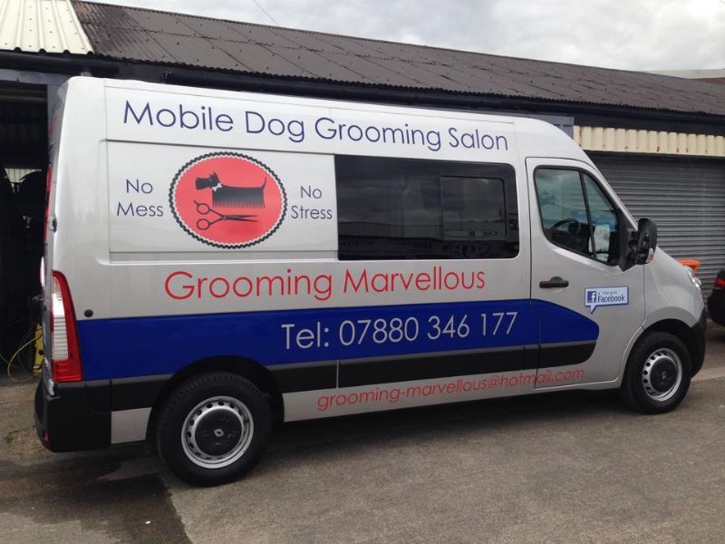 Grooming Marvellous Dog Grooming Grooming Marvellous Dog Grooming