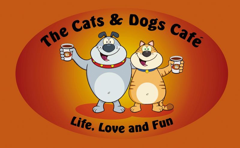 The Cats Dogs Cafe Hertford Mobile Caterer FreeIndex The Cats Dogs Cafe Hertford Mobile Caterer FreeIndex