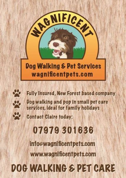 dog walking leaflets major magdalene project org dog walking leaflets