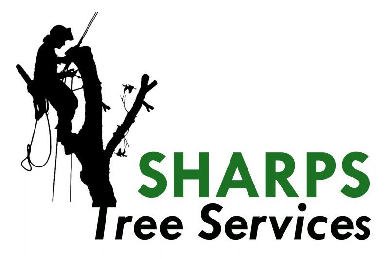 Sharps Tree Services, Sheffield | 2 reviews | Tree Surgeon ...