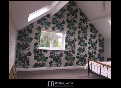 Harley Rainey Decorator