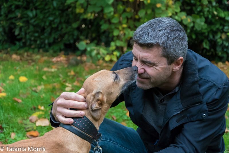 The Dogfather Worcester, Worcester 1 review Pet Boarding Service