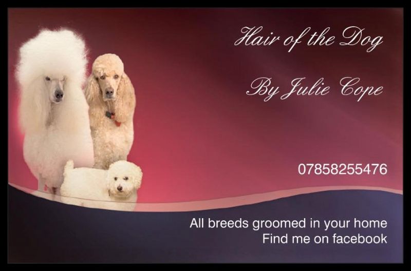 Hair of the Dog, Coventry 14 reviews Dog Grooming Company FreeIndex