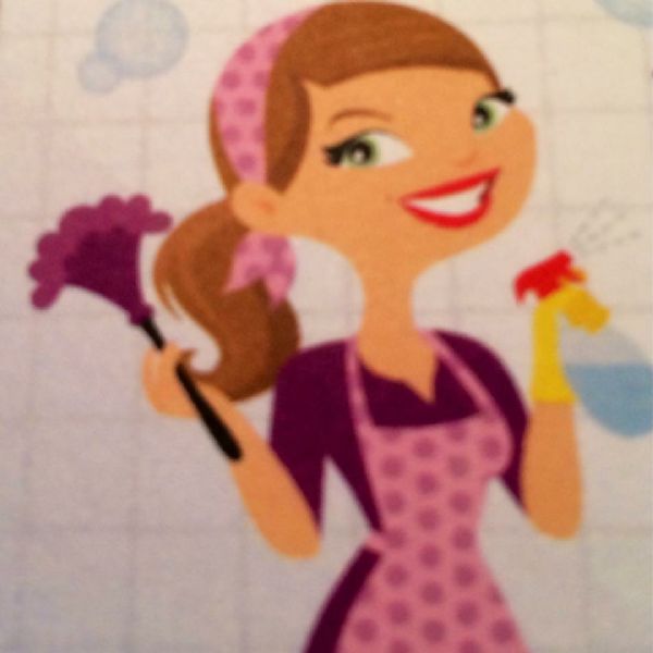 The Dolly Mops, Banbury 1 review Domestic Cleaning Company FreeIndex