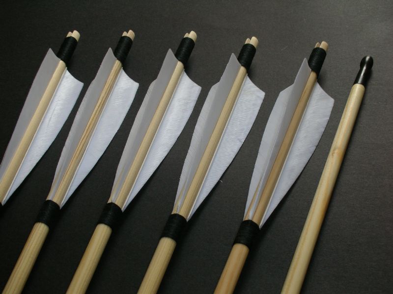 Shire Archery, Chesterfield Archery Centre FreeIndex