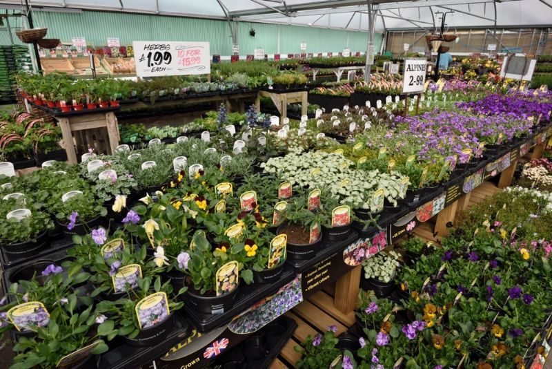 Carr Farm Garden Centre Ltd Garden Centre in Meols, Wirral (UK)