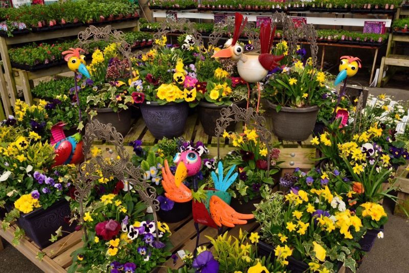 Carr Farm Garden Centre Ltd Garden Centre in Meols, Wirral (UK)