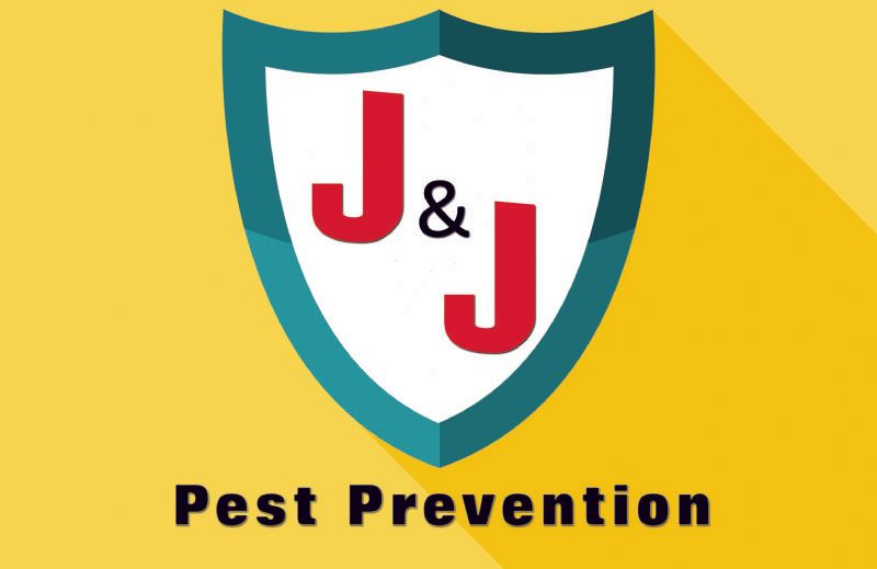 J&J Pest Prevention, Hailsham Pest Control Company FreeIndex