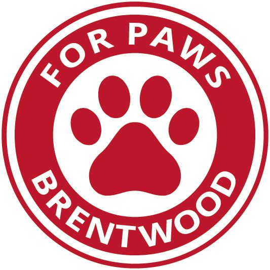 For Paws Brentwood, Brentwood Dog Walker FreeIndex
