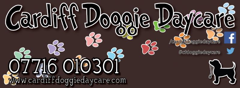 Cardiff Doggie Day Care, Cardiff Pet Service Provider