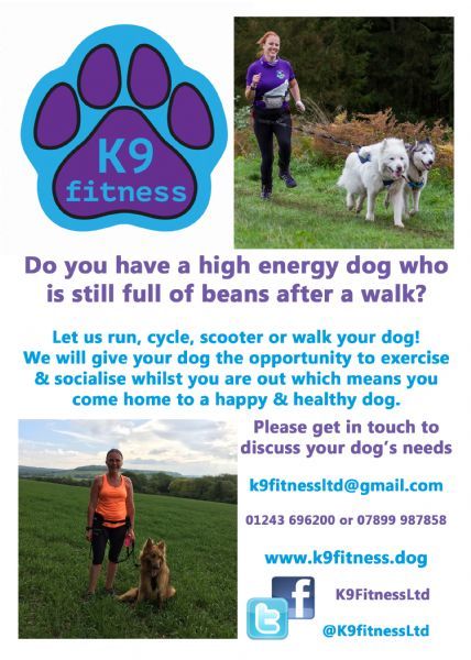 k9 fitness ltd dog walker in bracklesham bay chichester uk what does k9 flyer miles mean