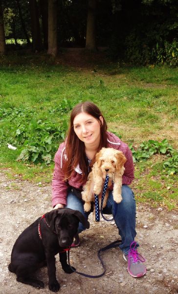 Cat And Dog Home Visits North Yorkshire Cat And Dog Home Visits North Yorkshire
