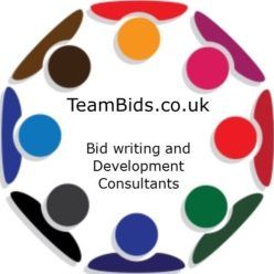 Tender writing services