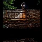 ImageCapture Wedding Portraits & Events Photographers