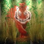 Murals by Wallworx