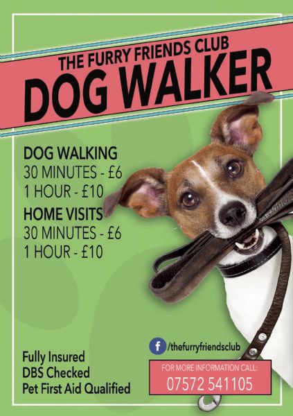 the furry friends club hull 1 review dog walker freeindex dog walking leaflets