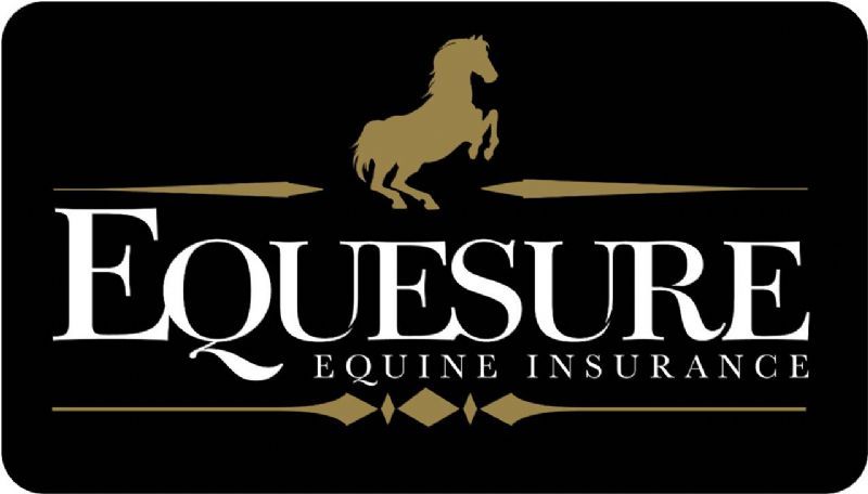 Equesure, St. Ives Horse Insurance Company FreeIndex Equesure, St. Ives Horse Insurance Company FreeIndex