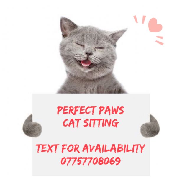Perfect Paws Cat/Dog Homecare, Belper 1 review Pet
