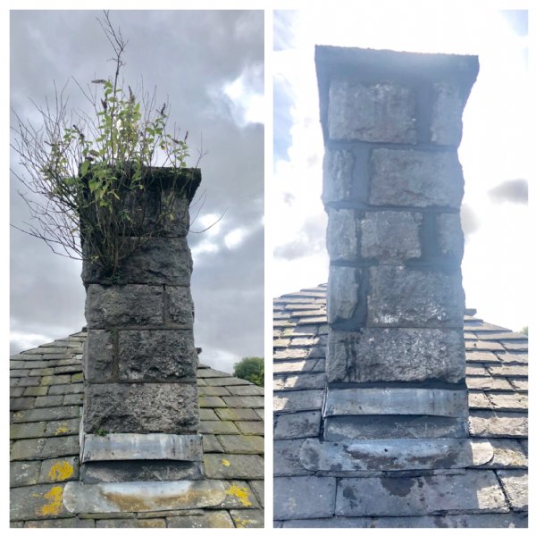 Tree removal from chimney stack and special chemical used to prevent re-growth.