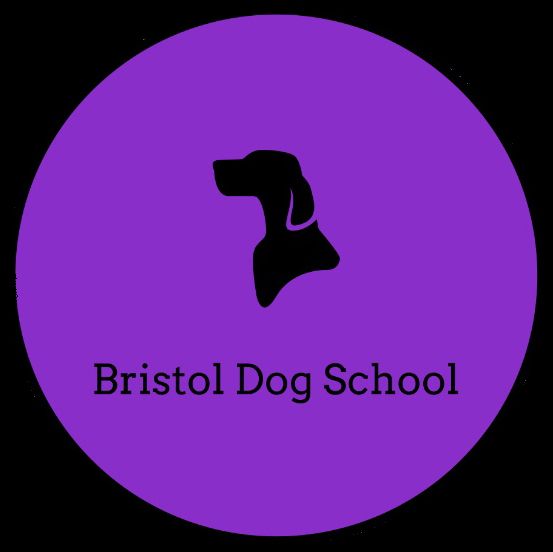Bristol Dog School, Bristol Dog Trainer FreeIndex